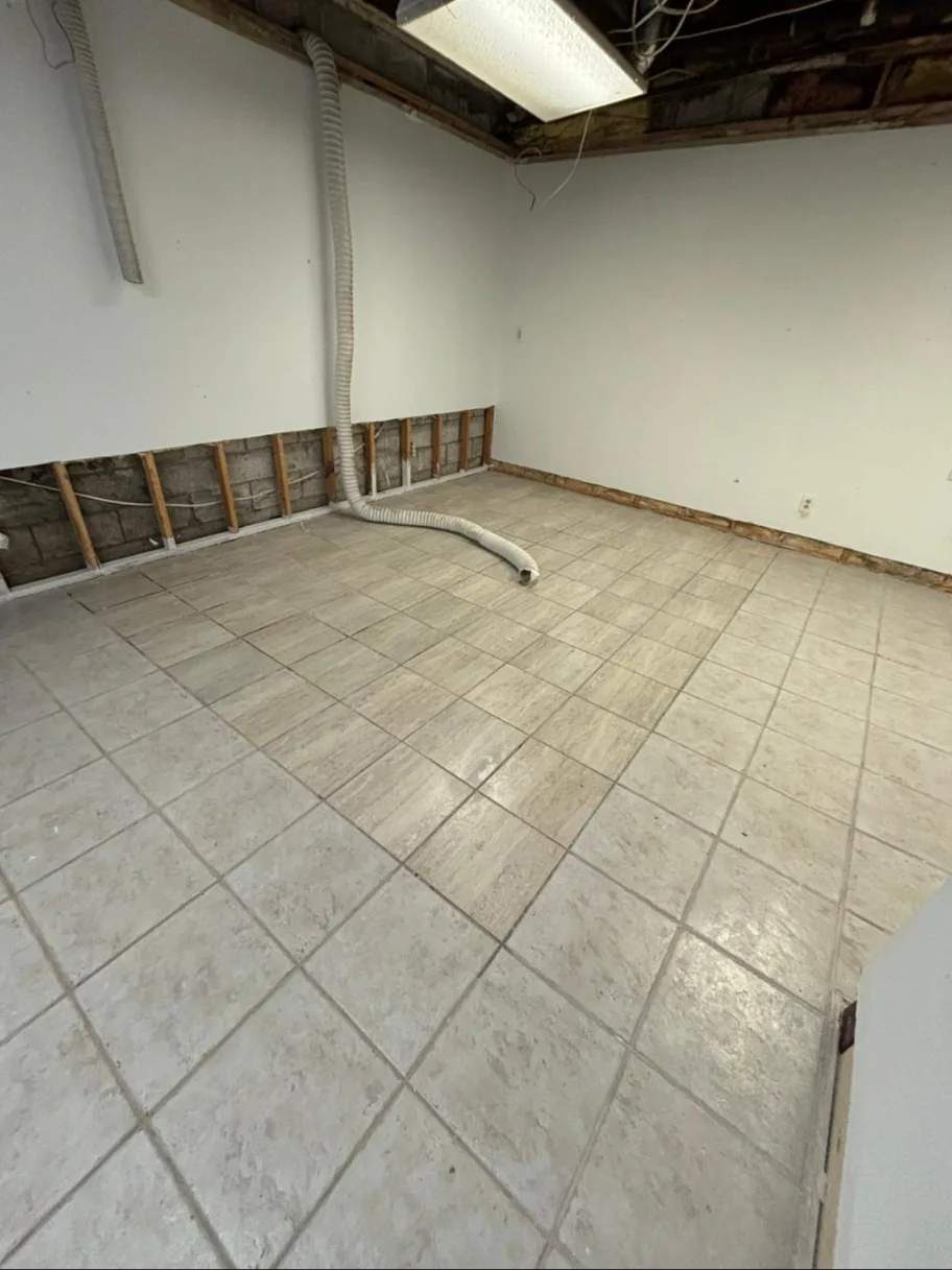 Commercial interior before renovation, set 2: stripped-back walls and exposed ceiling